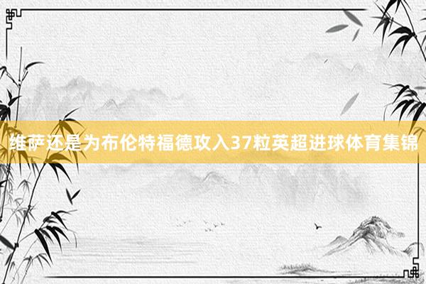 维萨还是为布伦特福德攻入37粒英超进球体育集锦