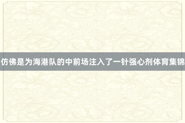 仿佛是为海港队的中前场注入了一针强心剂体育集锦