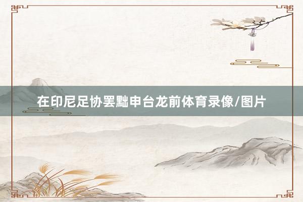 在印尼足协罢黜申台龙前体育录像/图片