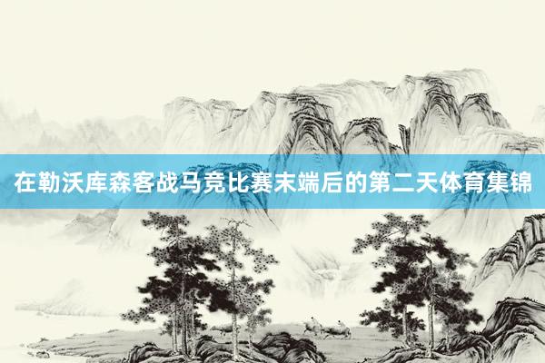 在勒沃库森客战马竞比赛末端后的第二天体育集锦