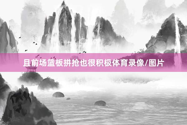 且前场篮板拼抢也很积极体育录像/图片