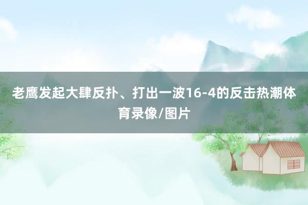 老鹰发起大肆反扑、打出一波16-4的反击热潮体育录像/图片