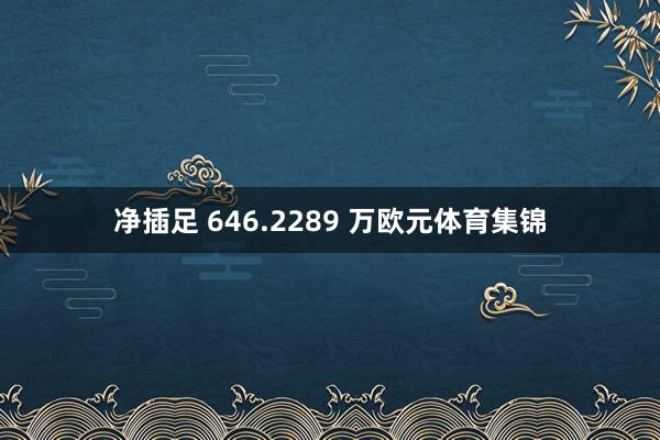 净插足 646.2289 万欧元体育集锦