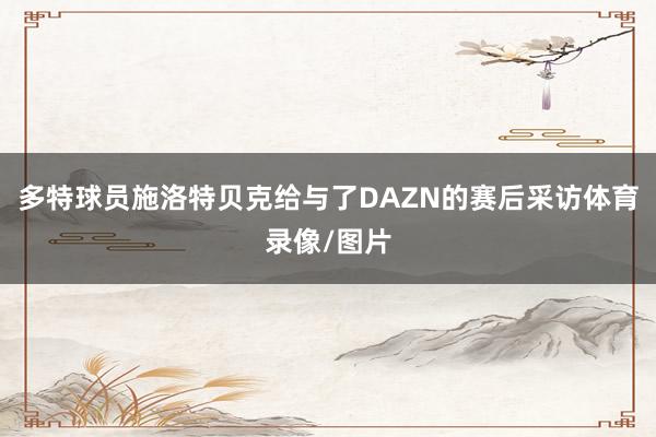 多特球员施洛特贝克给与了DAZN的赛后采访体育录像/图片